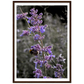 SK moments Nature