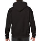 Classic Lion Pullover Hoodie